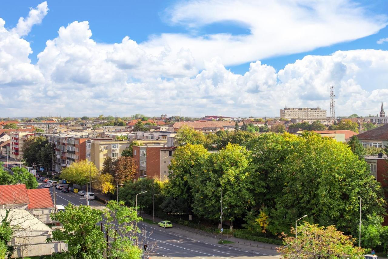 Ari Red Apartment In Complexul Ared Kaufland アラド エクステリア 写真